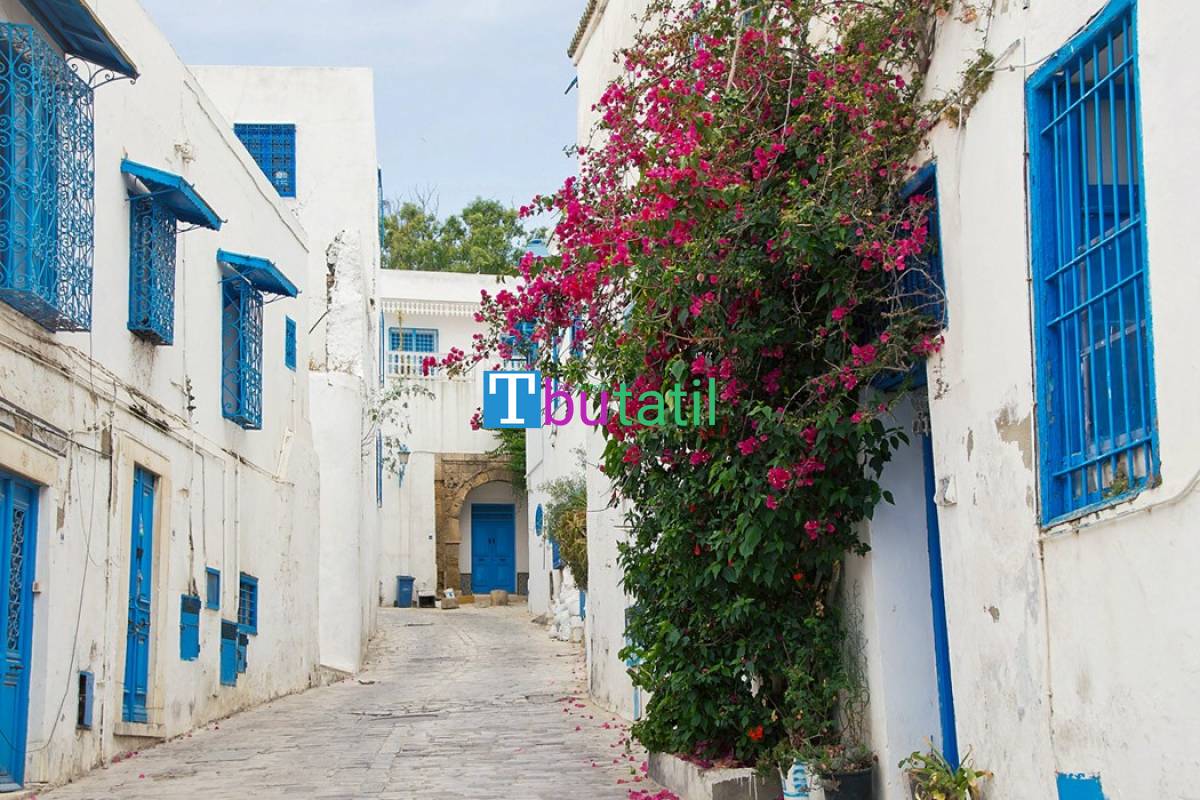 Görkemli Tunus ve Antik Kentler Turu - THY ile - Resim #6