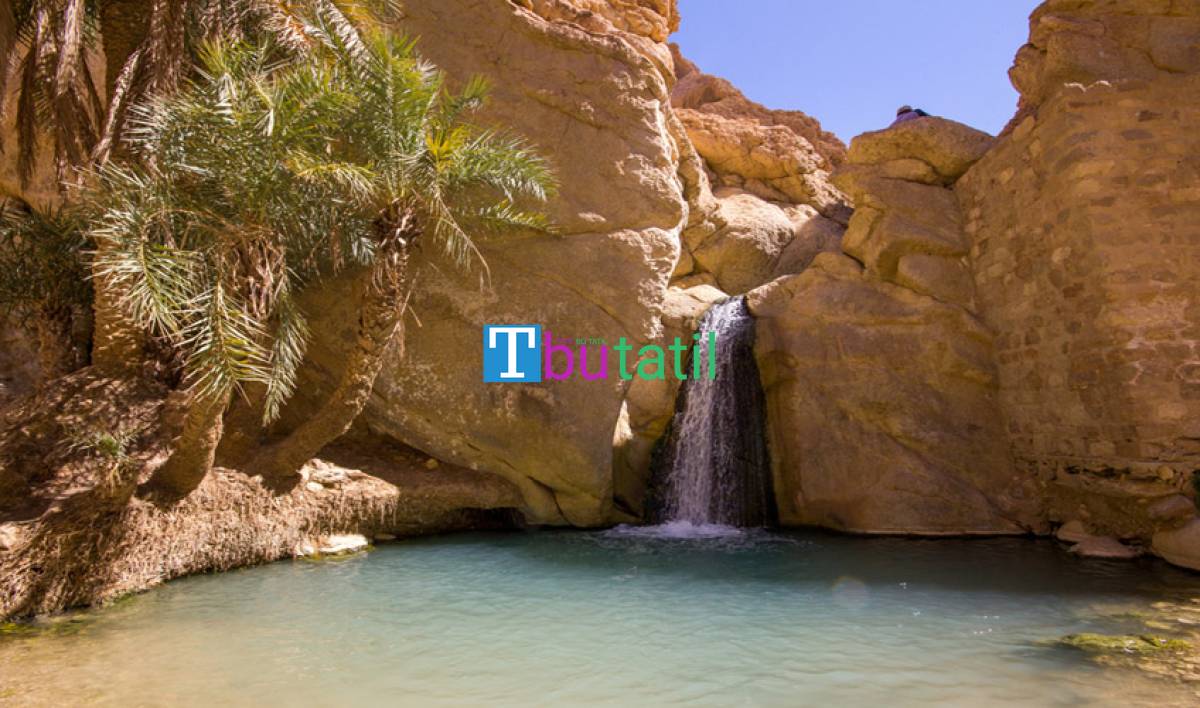 Görkemli Tunus ve Antik Kentler Turu - THY ile - Resim #9