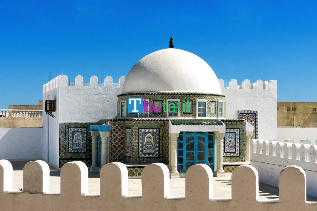 Görkemli Tunus ve Antik Kentler Turu - THY ile - Resim #2