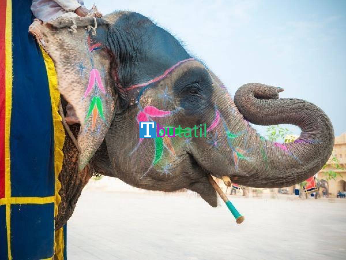 Hindistan Altın Üçgen Turu - İndigo Havayolları ile - Resim #0