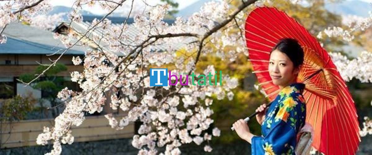 Klasik Japonya & Güney Kore Turu - Resim #1